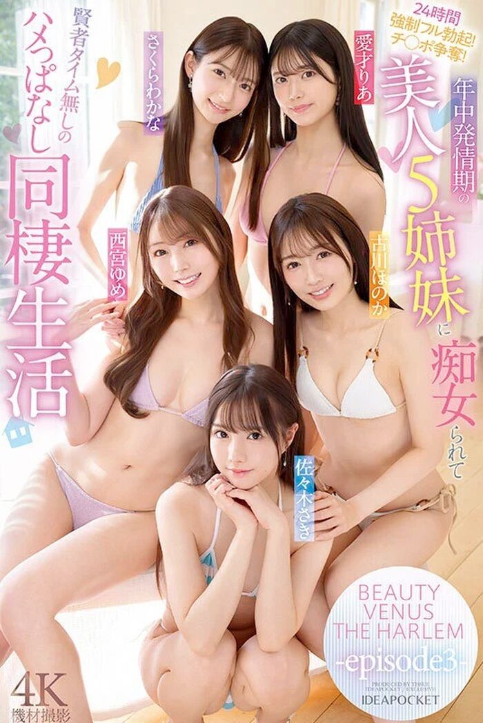 BEAUTY VENUS THE HARLEM Cohabitation life where 5 beautiful sisters are slutted 3th image